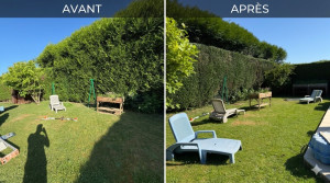 Photo de galerie - Taille de haies, finitions soignées (alignement et horizontalité parfaits), Possibilité de gérer l'évacuation des déchets verts..