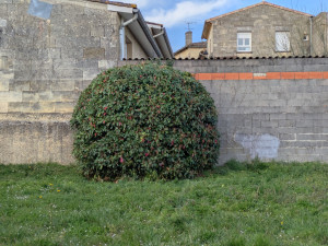 Photo de galerie - Remise en forme