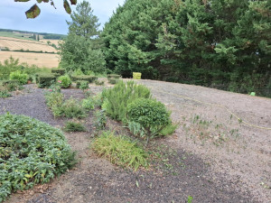 Photo de galerie - Désherbage et taille 
