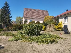 Photo de galerie - Paysagiste - Aménagement du jardin