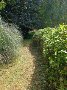 Photo de galerie - Aménagement d'un chemin autour d'un petit bassin 