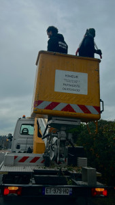Photo de galerie - Camion nacelle