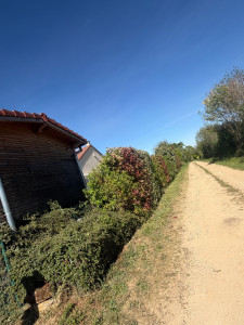 Photo de galerie - Remise à niveau 