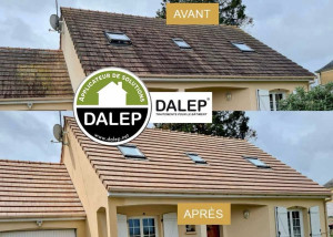 Photo de galerie - Nettoyage de toiture avec produit professionnel d’Alep, 2100