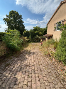 Photo de galerie - Avant travaux de débroussaillage 