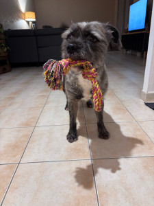 Photo de galerie - Marley ☺️