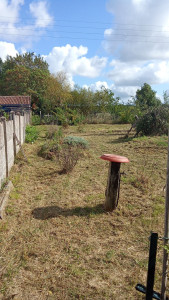 Photo de galerie - Débroussaillage 