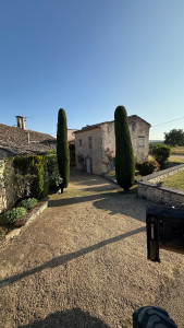 Photo de galerie - Taille de cyprès de Provence ?☀️