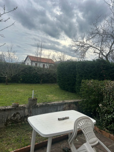 Photo de galerie - Taille de haie et tonte 