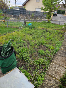 Photo de galerie - Paysagiste - Aménagement du jardin