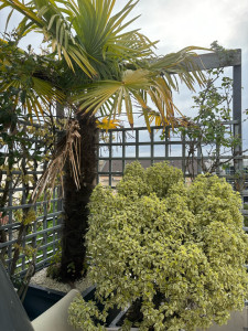 Photo de galerie - Jardinier