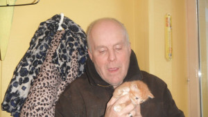 Photo de galerie - Bree petite chatte rousse et blanche  