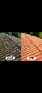 Photo de galerie - Nettoyage de toiture 