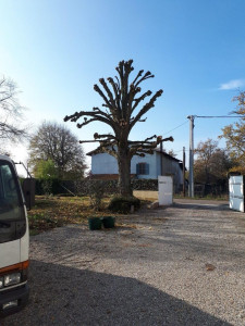 Photo de galerie - Client, satisfait