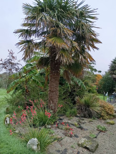 Photo de galerie - Paysagiste - Aménagement du jardin