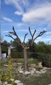 Photo de galerie - Jardinier