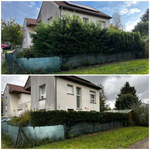 Photo de galerie - Rabattage de haie. 