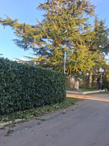 Photo de galerie - Apres