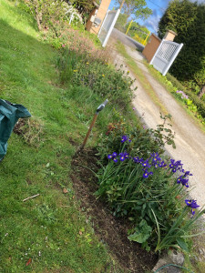 Photo de galerie - Paysagiste - Aménagement du jardin