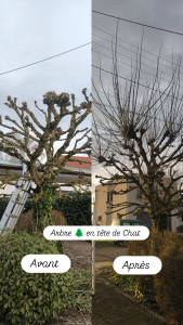 Photo de galerie - Jardinier