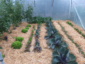 Photo de galerie - Jardinage 