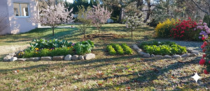 Photo de galerie - Création d'un potager et jardin