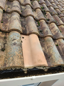 Photo de galerie - Remplacement de tuiles