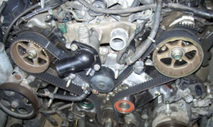 Photo de galerie - Distribution 