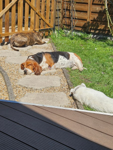 Photo de galerie - Séance de bronzette