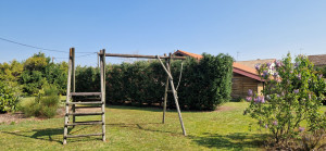 Photo de galerie - Taille de haies et d'arbustes
