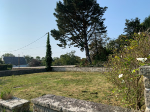 Photo de galerie - Tonte de pelouse - Débroussaillage