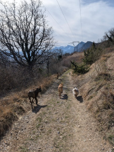 Photo de galerie - Running ! 