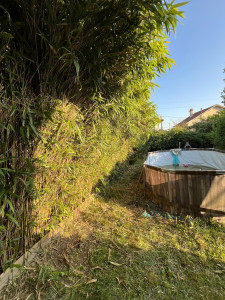 Photo de galerie - Taille de haies et d'arbustes