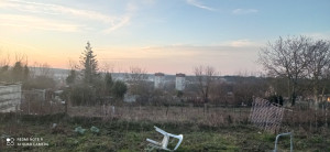 Photo de galerie - Le défrichage en cours 