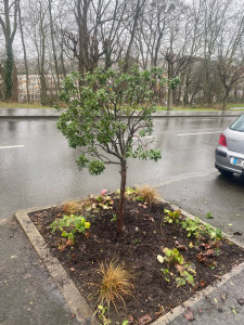 Photo de galerie - Jardinier