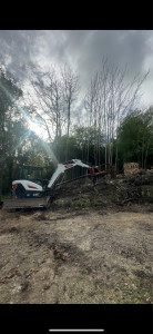 Photo de galerie - Elagage et coupe d'arbres