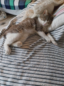 Photo de galerie - Petit loulou