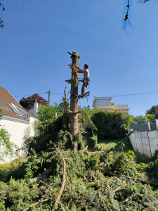 Photo de galerie - Abattage réussi comme toujours 
