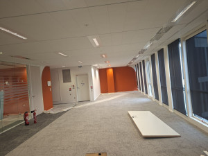 Photo de galerie - Je suis un très bon peintre.