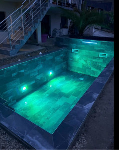 Photo de galerie - Entretien piscine