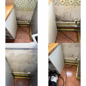 Photo de galerie - Nettoyage mur moisissures 