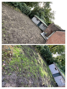 Photo de galerie - Paysagiste - Aménagement du jardin