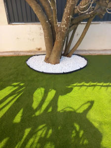 Photo de galerie - Finition autour du figuier