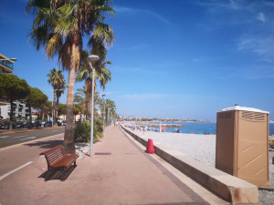 Photo de galerie - Disponible