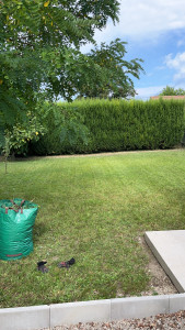 Photo de galerie - Tonte de pelouse - Débroussaillage