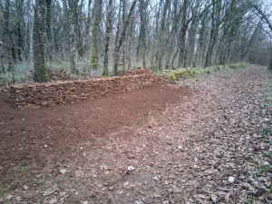 Photo de galerie - Remise en état muret en pierre sèche sans mortier 50 cm de hauteur, nettoyage ainsi qu'une remise en état de l'espace naturel 