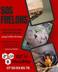 Photo de galerie - Destruction de nids de frelons, guêpes. 