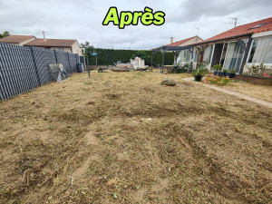 Photo de galerie - Après débroussaillage du jardin 