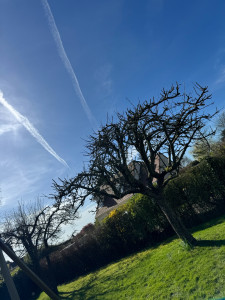 Photo de galerie - Après 