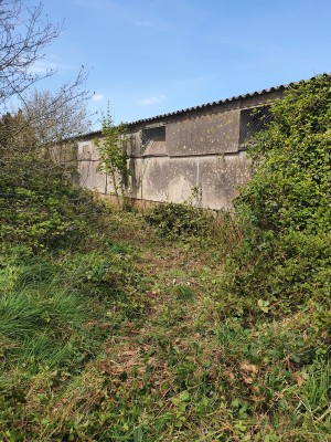 Photo de galerie - Tonte de pelouse - Débroussaillage